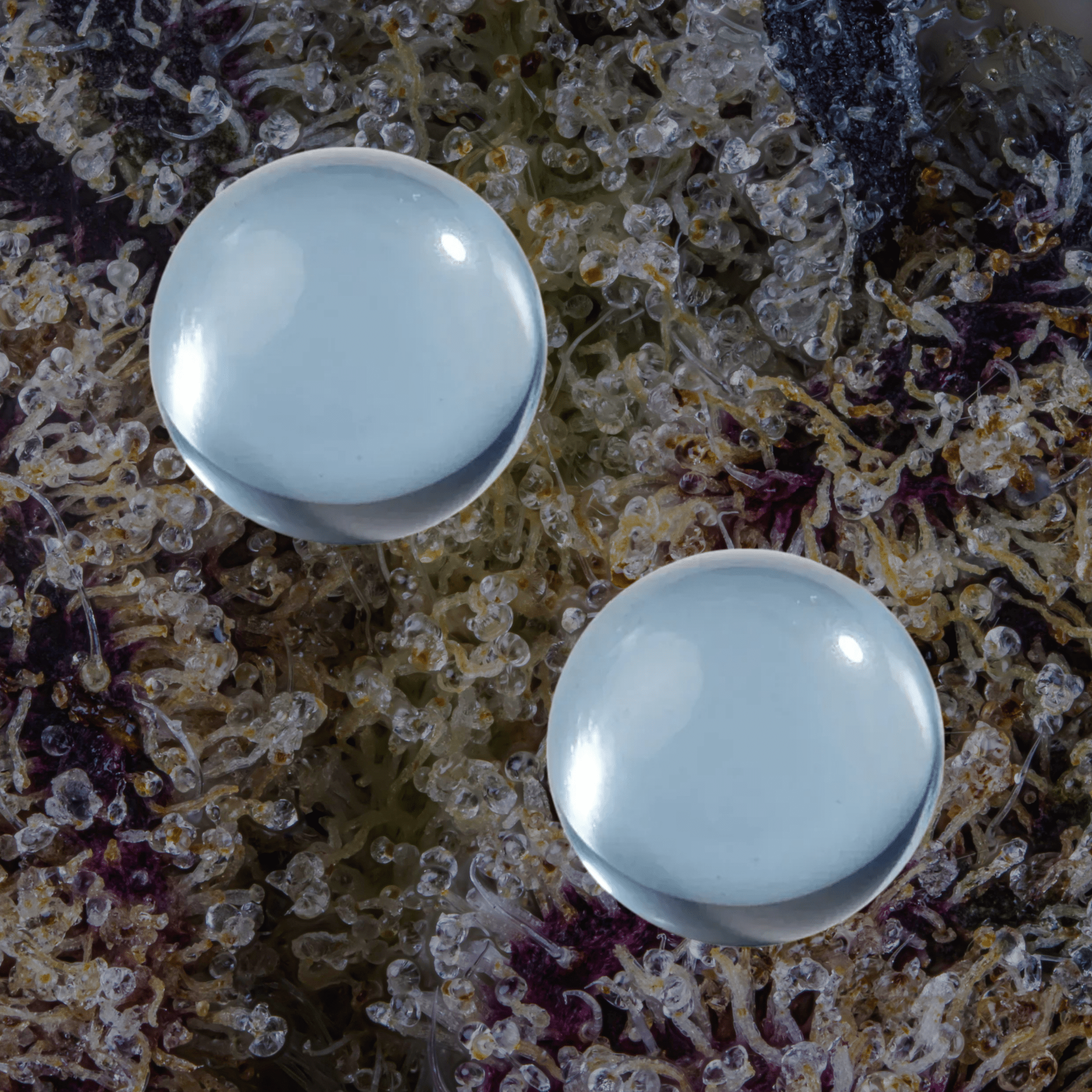 MJ Arsenal Ruby Terp Pearls Ruby | Trichly