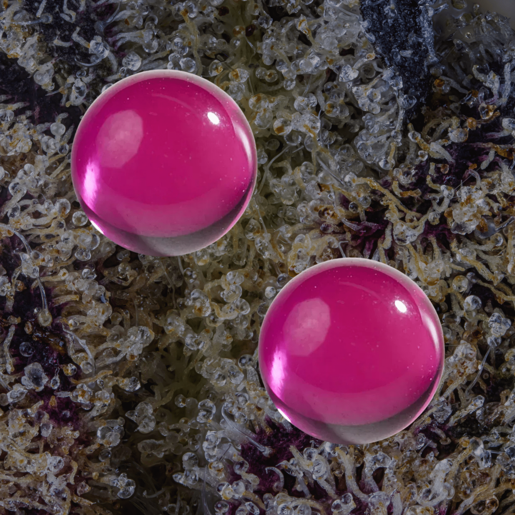 MJ Arsenal Ruby Terp Pearls Ruby | Trichly