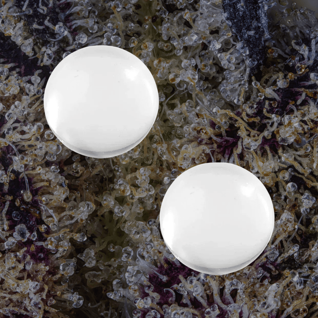 MJ Arsenal Ruby Terp Pearls Clear | Trichly