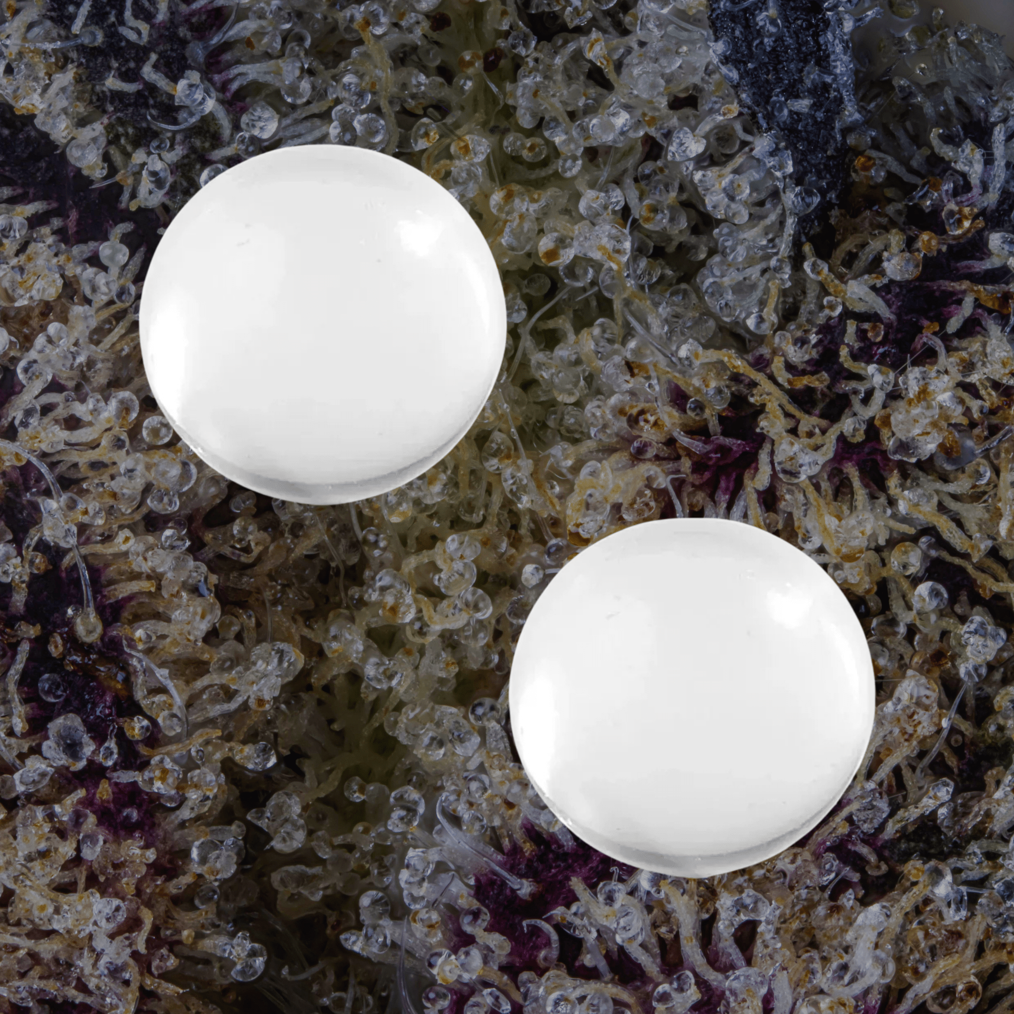 MJ Arsenal Ruby Terp Pearls Ruby | Trichly