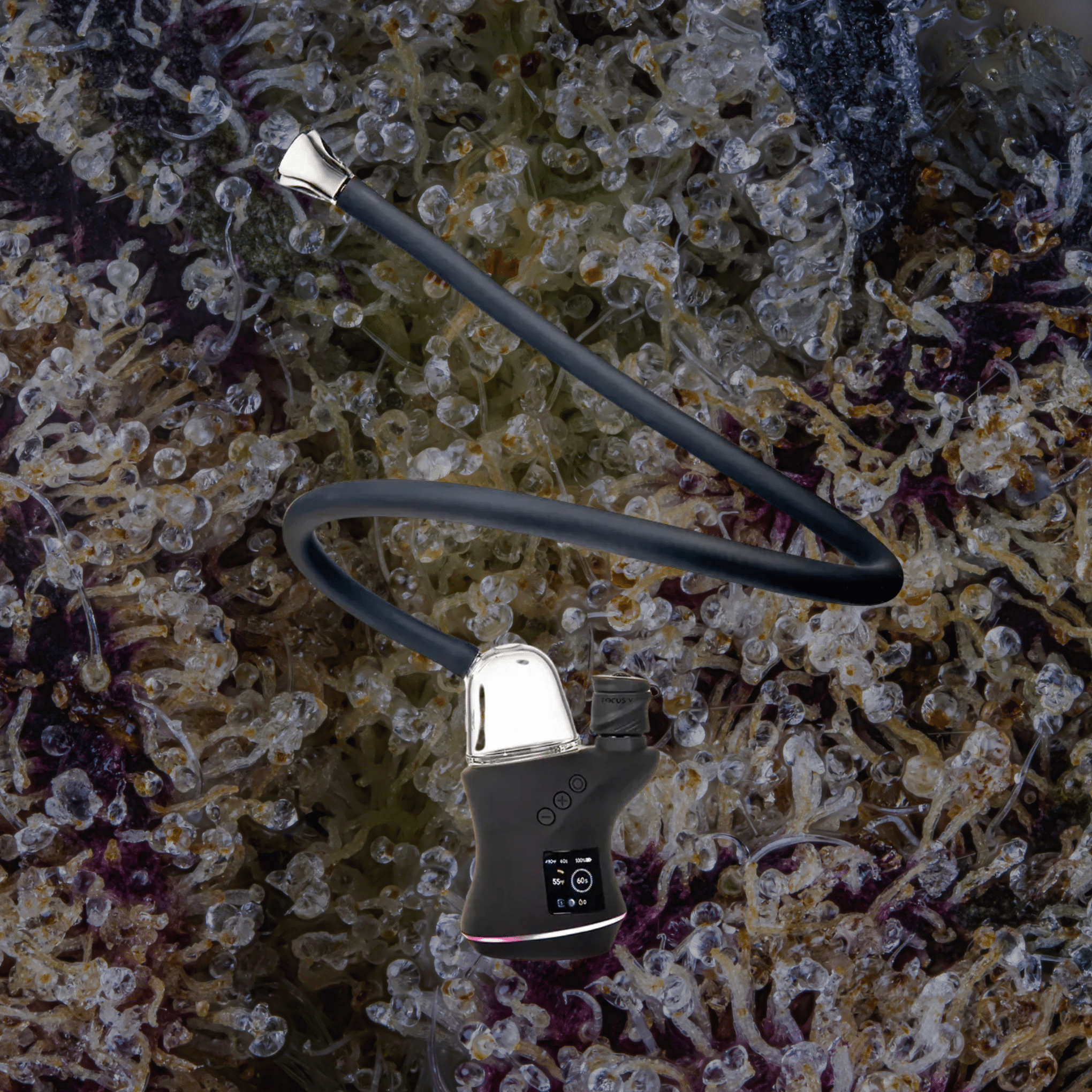 MJ Arsenal The Bridge Focus V Carta Top | Trichly