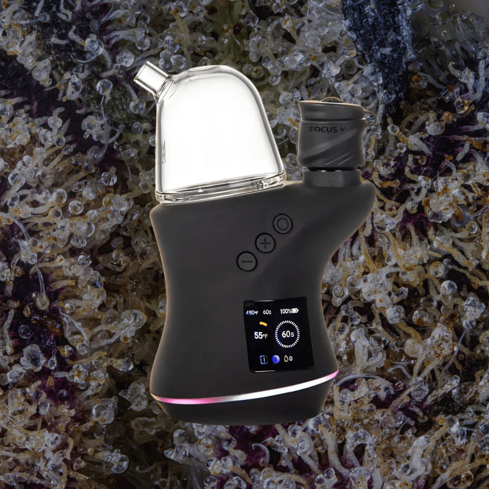 MJ Arsenal The Bridge Focus V Carta Top | Trichly