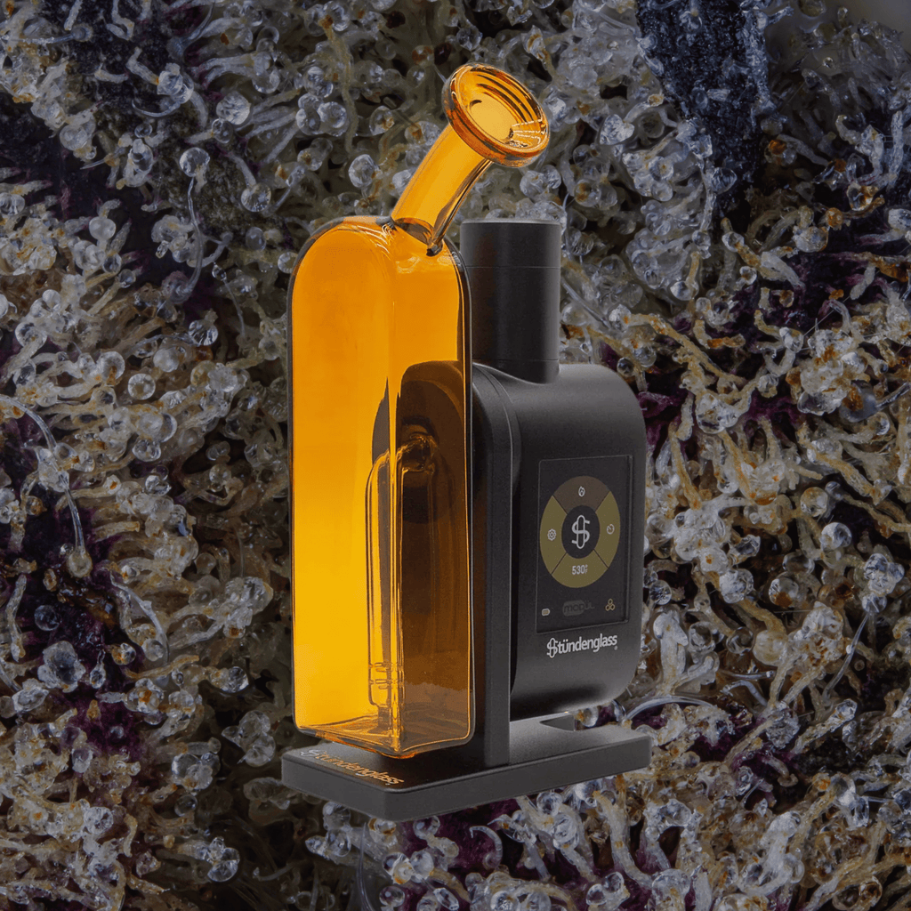 Modül + Dok Deluxe Travel Set Amber | Trichly