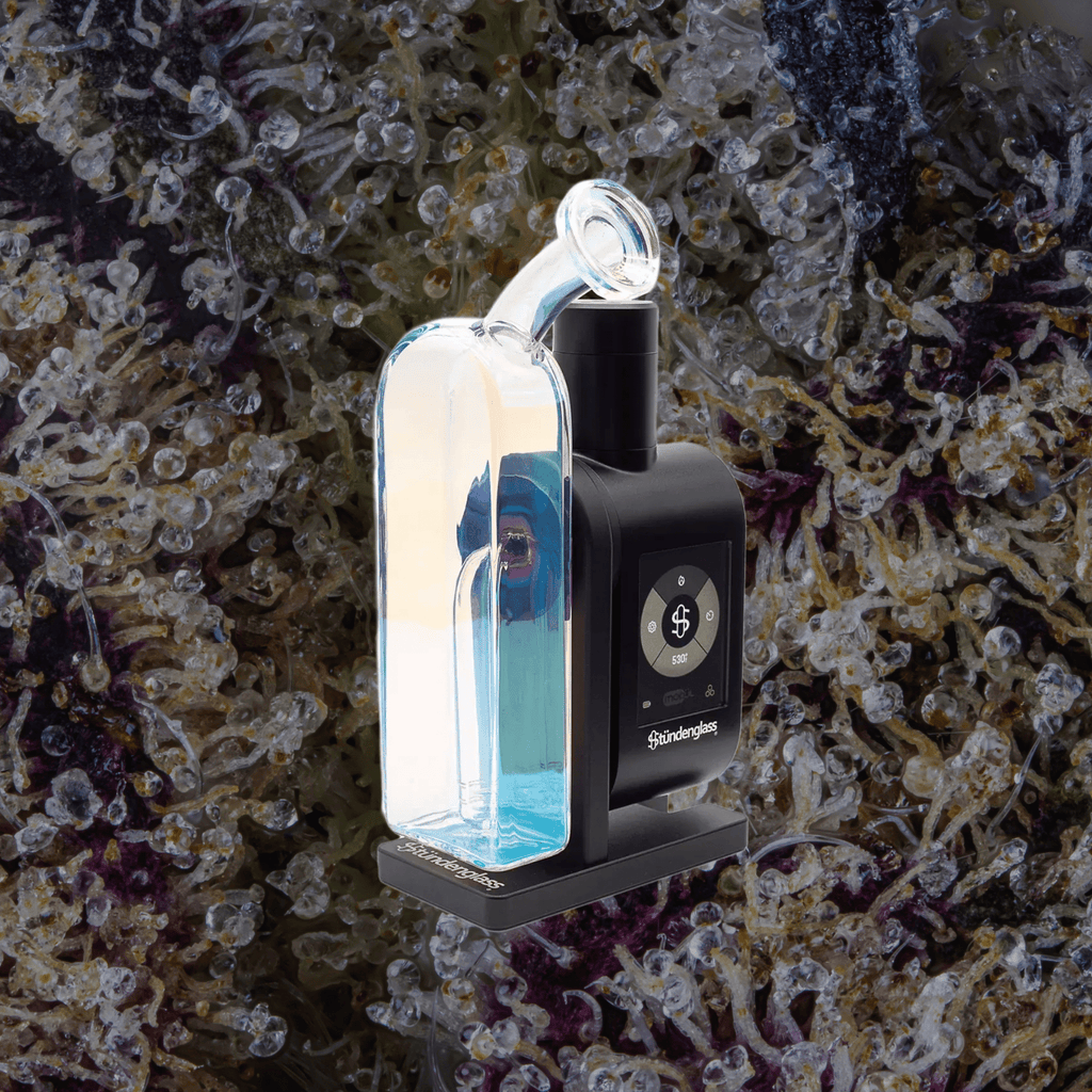 Modül + Dok Deluxe Travel Set Bubble | Trichly