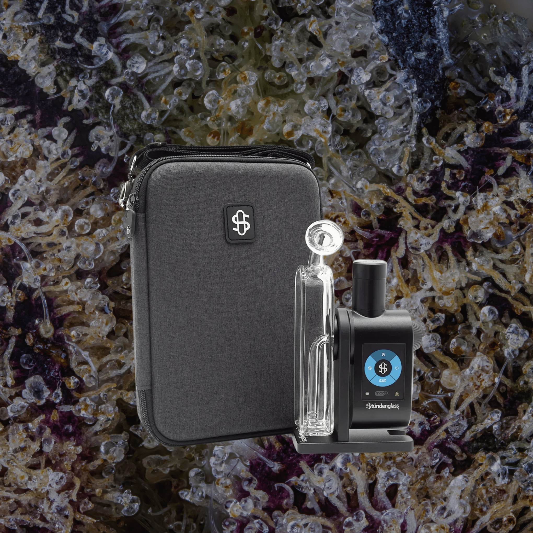Modül + Dok Deluxe Travel Set Clear | Trichly
