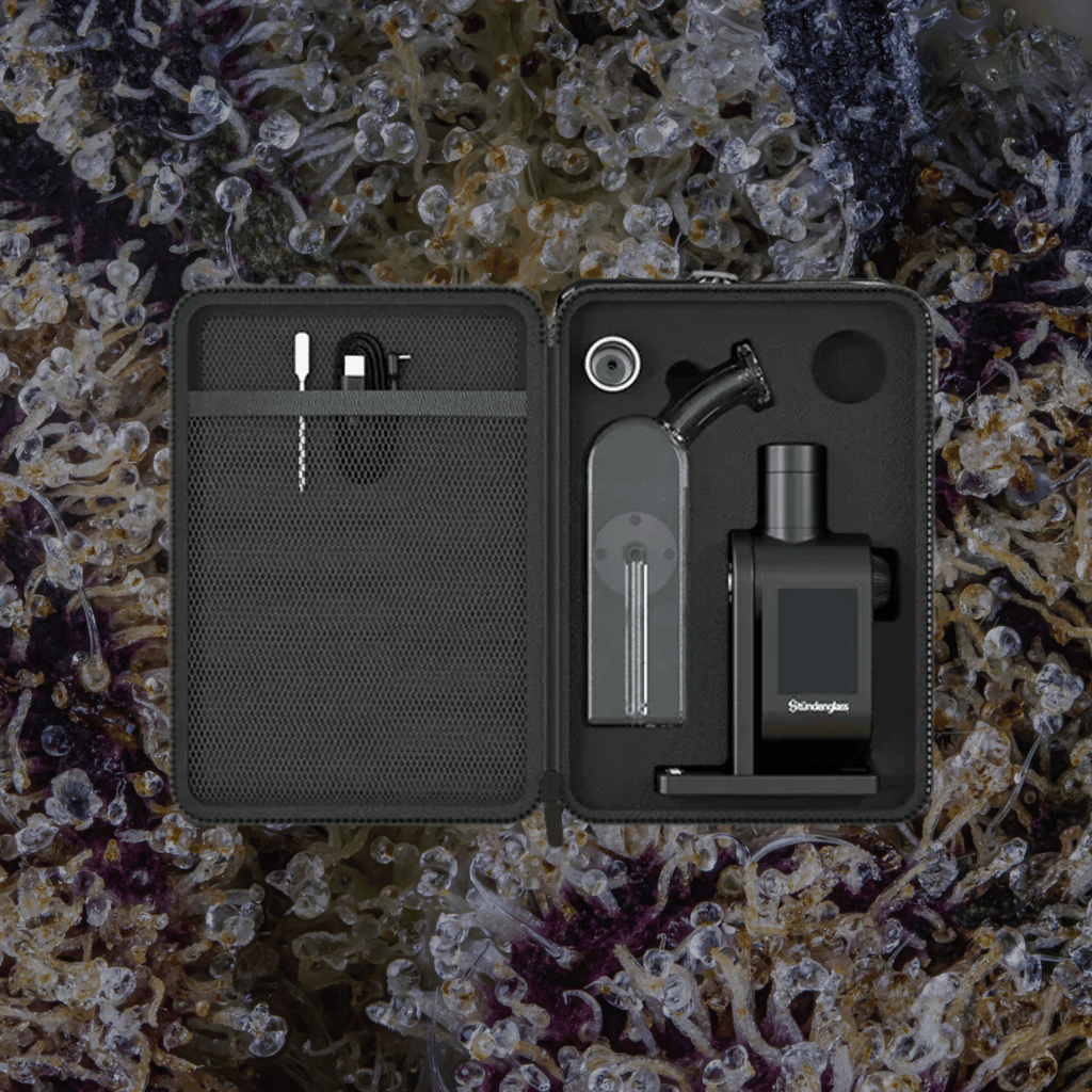 Modül + Dok Deluxe Travel Set Clear | Trichly