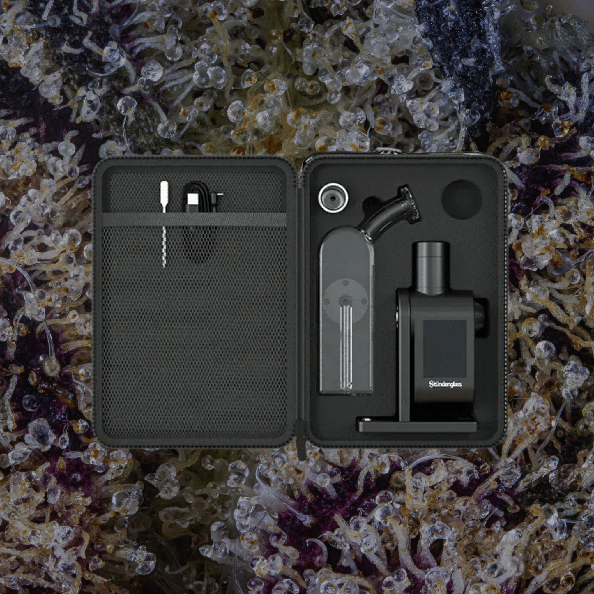 Modül + Dok Deluxe Travel Set Clear | Trichly