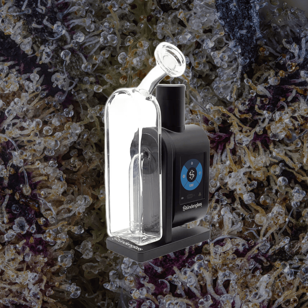 Modül + Dok Deluxe Travel Set Clear | Trichly