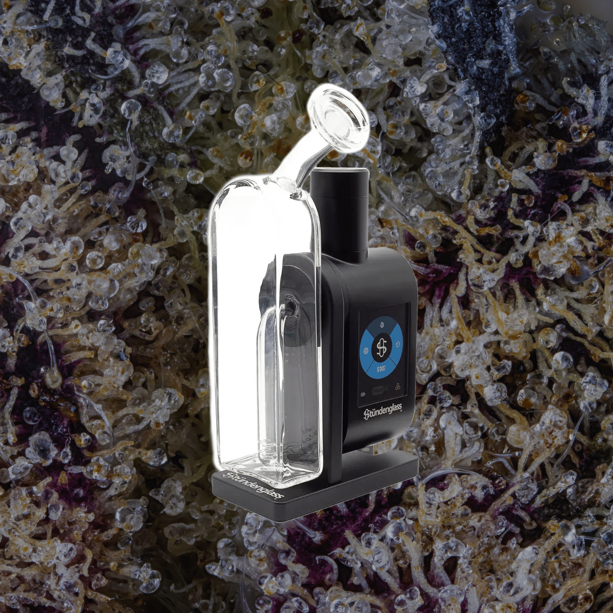 Modül + Dok Deluxe Travel Set Clear | Trichly