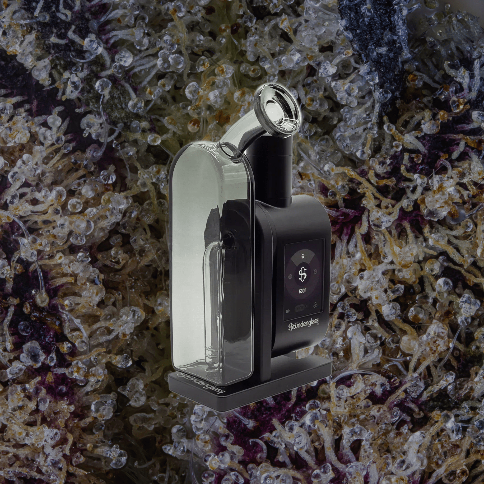 Modül + Dok Deluxe Travel Set Gray | Trichly