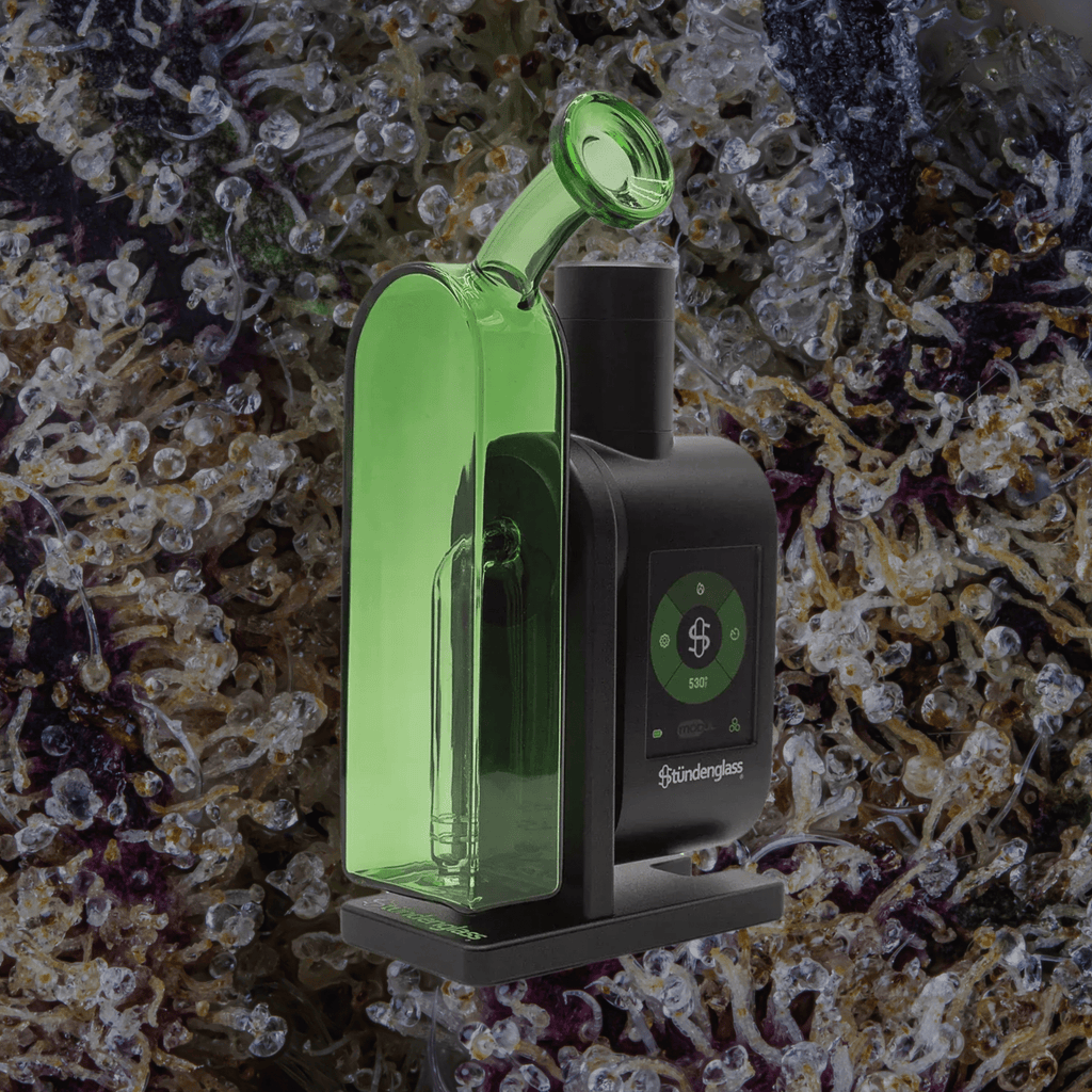 Modül + Dok Deluxe Travel Set Green | Trichly