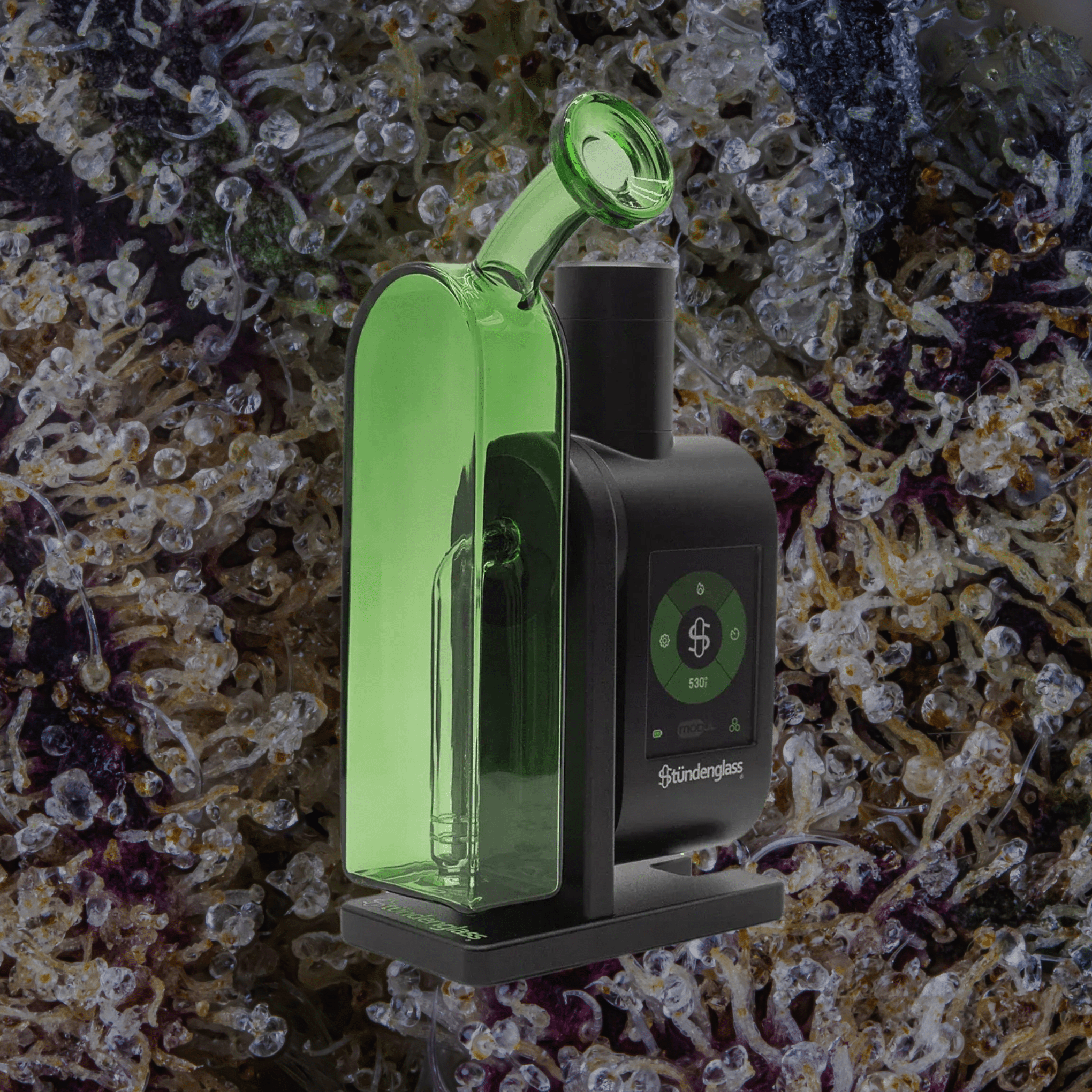 Modül + Dok Deluxe Travel Set Green | Trichly