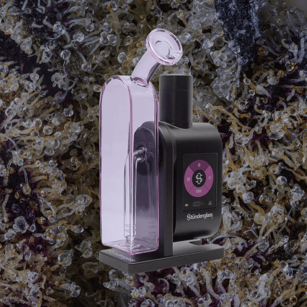 Modül + Dok Deluxe Travel Set Purple | Trichly