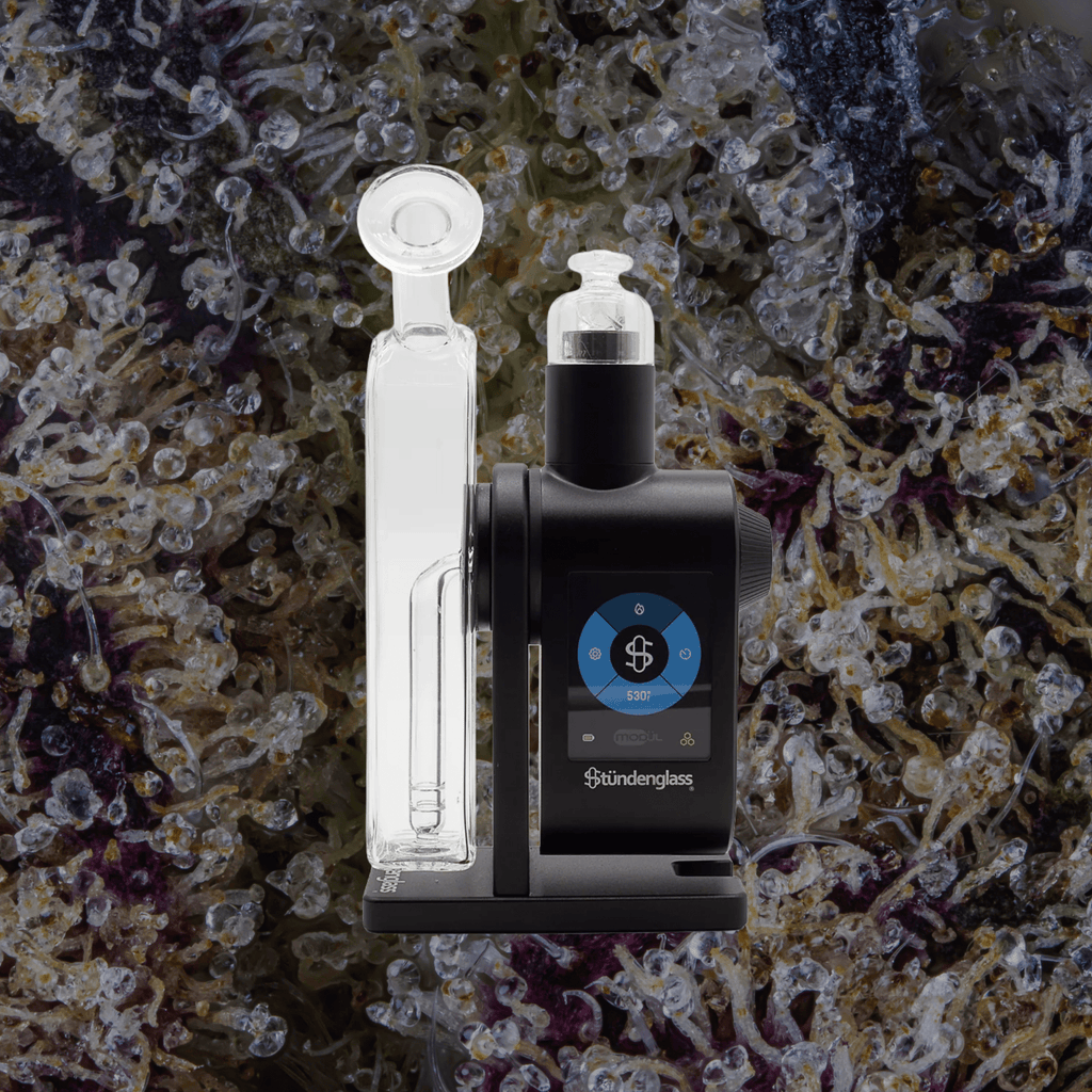 Modül Dok Glass Carb Cap & Terp Pearls | Trichly