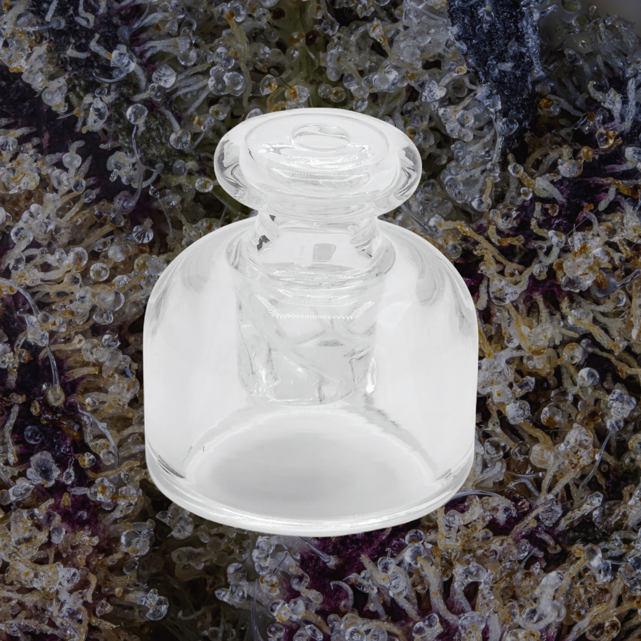 Modül Dok Glass Carb Cap & Terp Pearls | Trichly