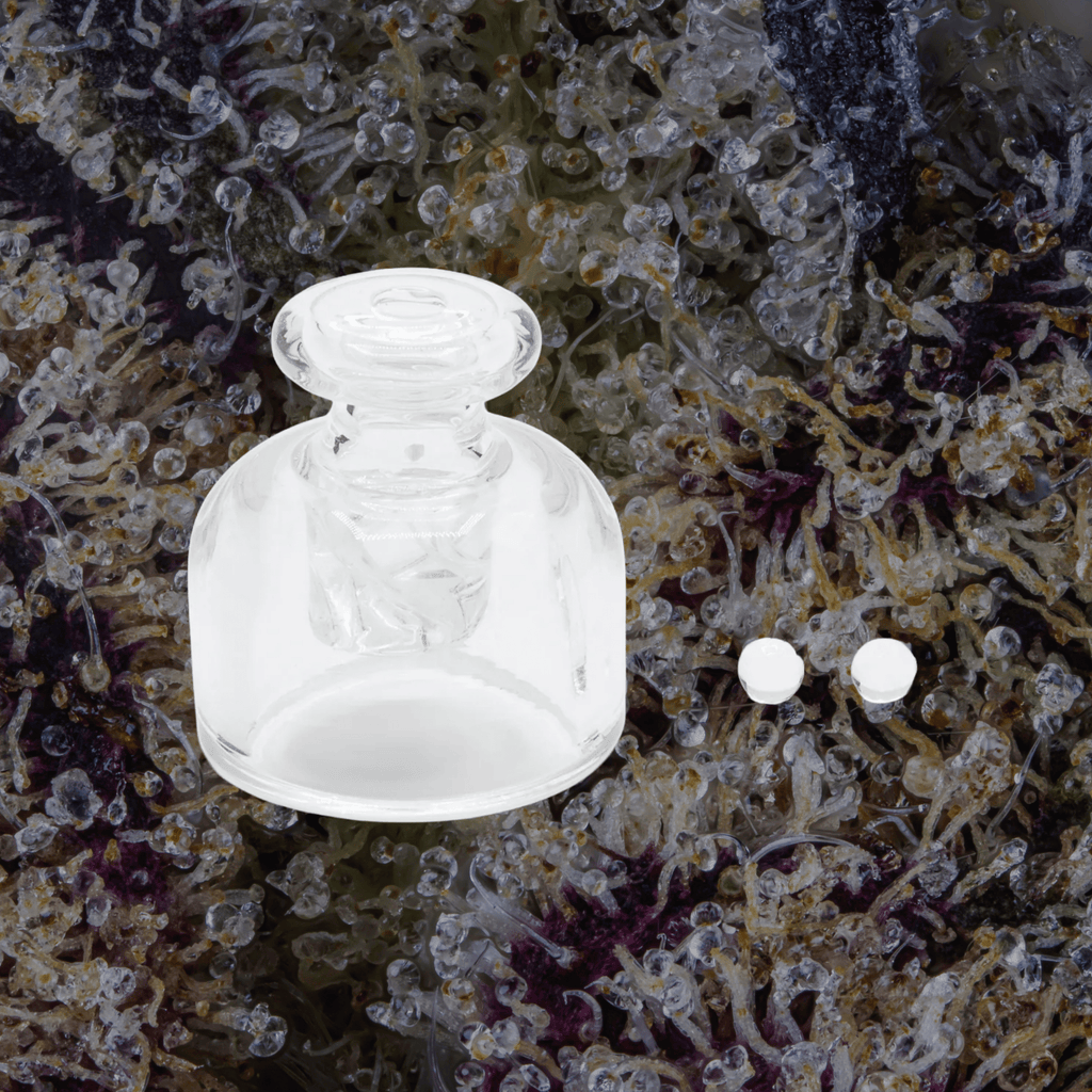 Modül Dok Glass Carb Cap & Terp Pearls | Trichly