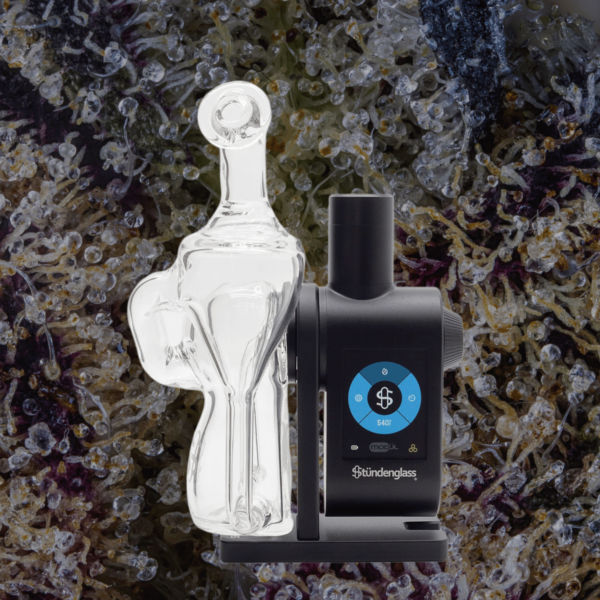 Modül Dok Glass Recycler II | Trichly