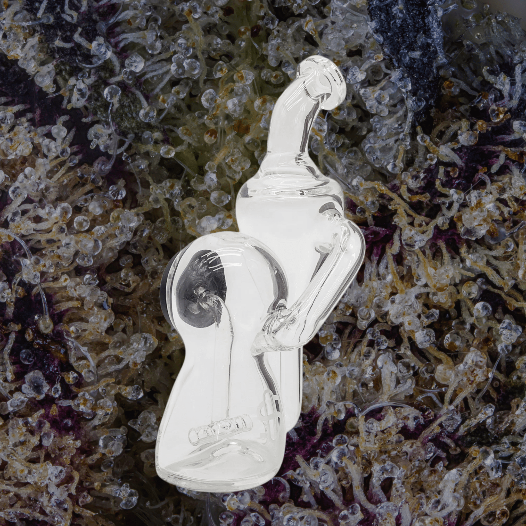 Modül Dok Glass Recycler II | Trichly