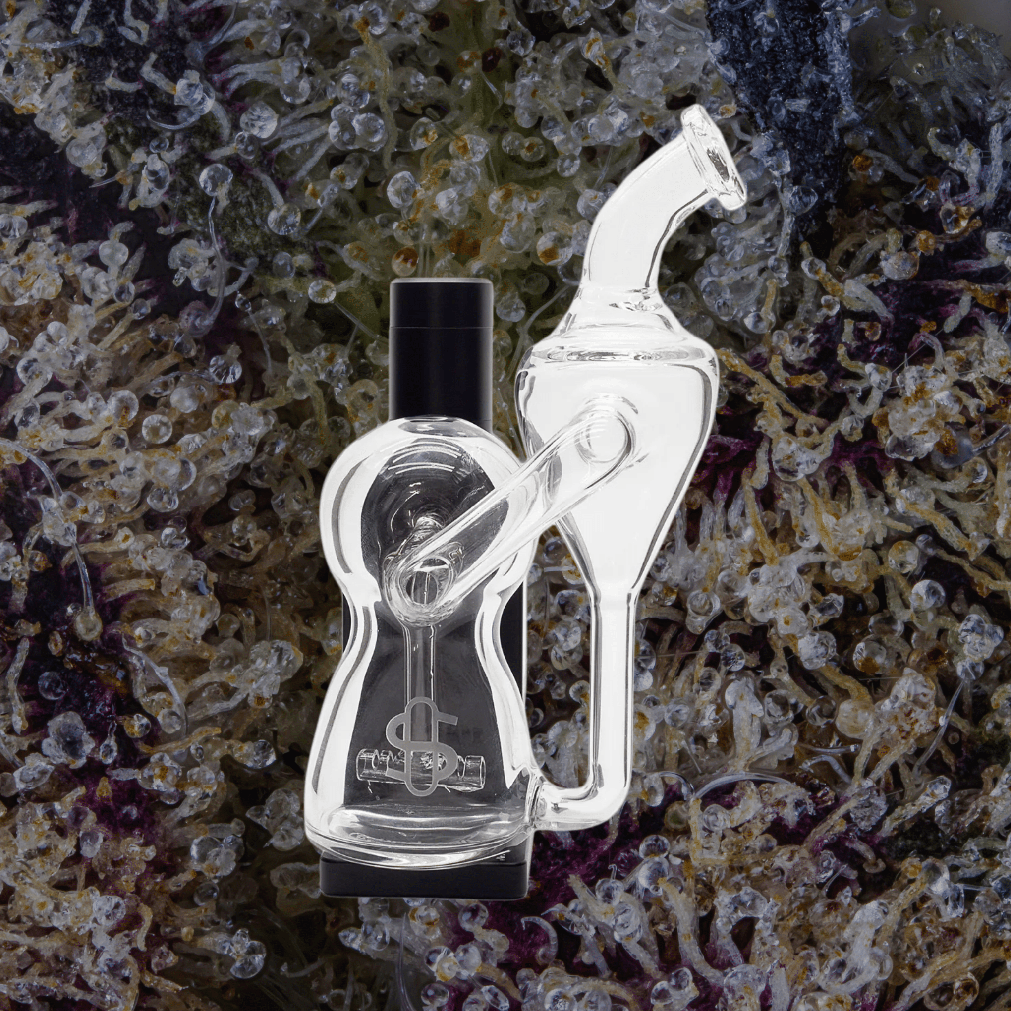 Modül Dok Glass Recycler II | Trichly