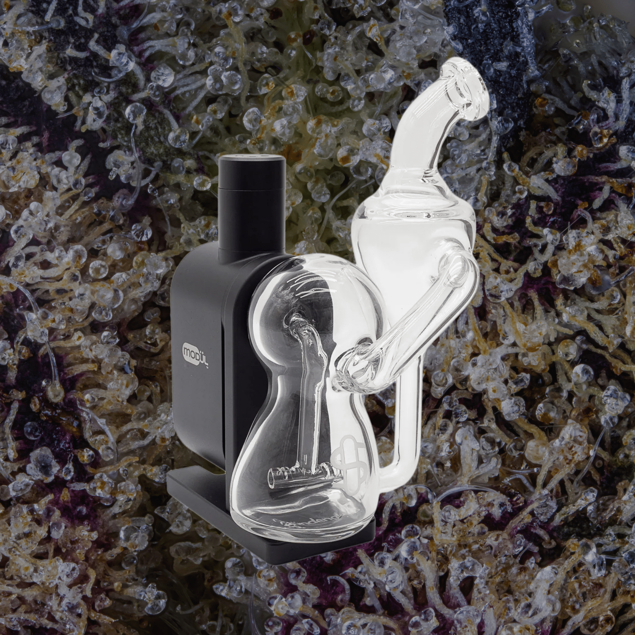 Modül Dok Glass Recycler II | Trichly