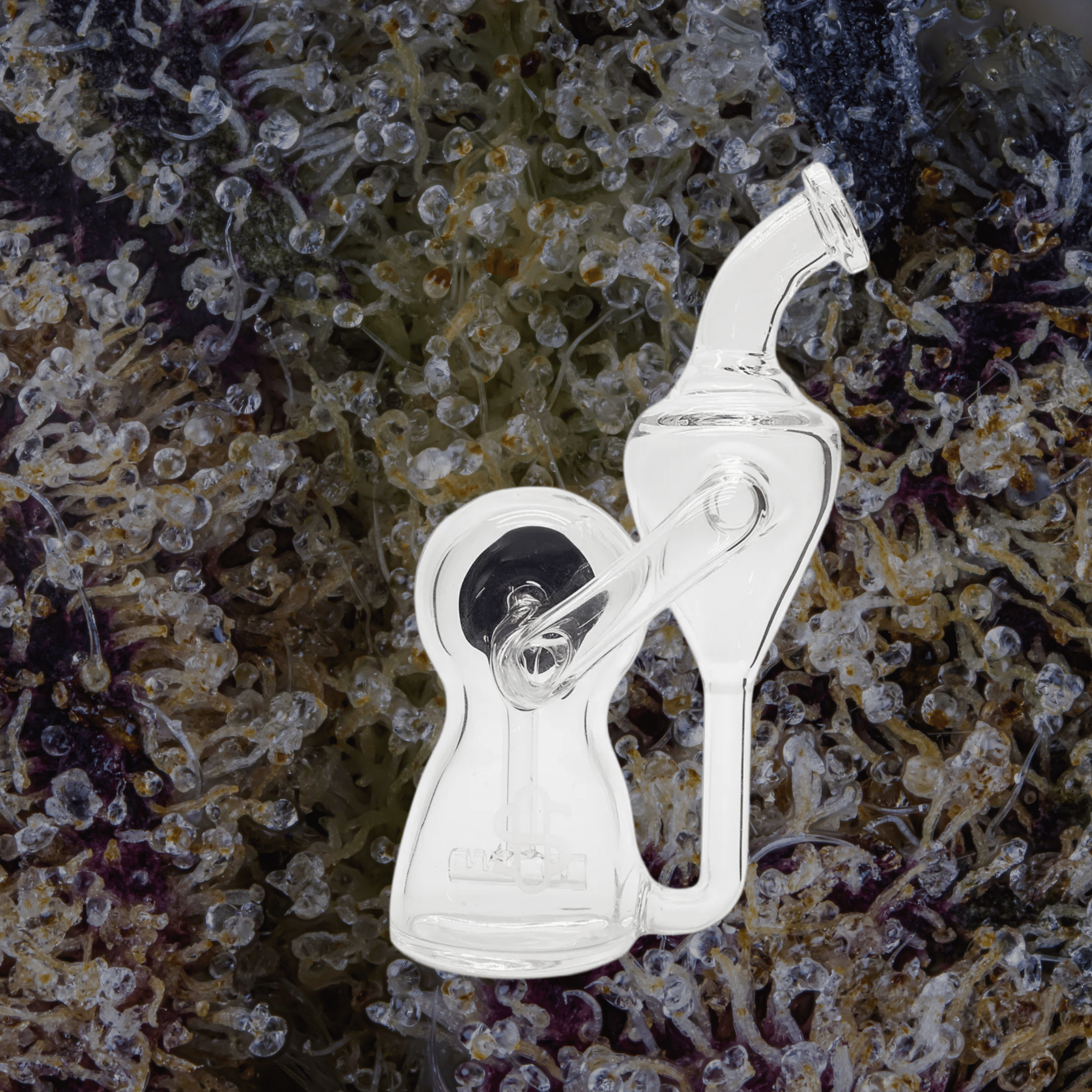 Modül Dok Glass Recycler II | Trichly