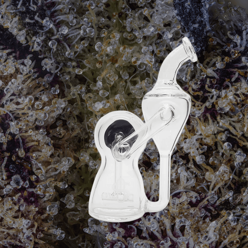 Modül Dok Glass Recycler II | Trichly