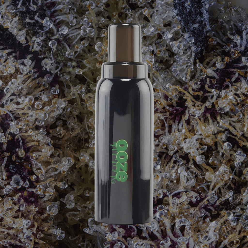 Ooze Hilo | Trichly