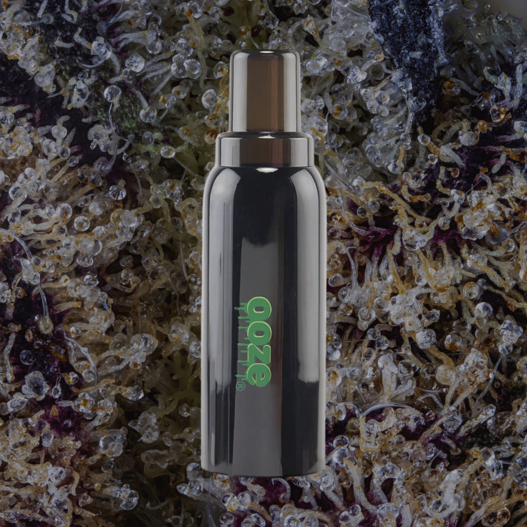 Ooze Hilo | Trichly