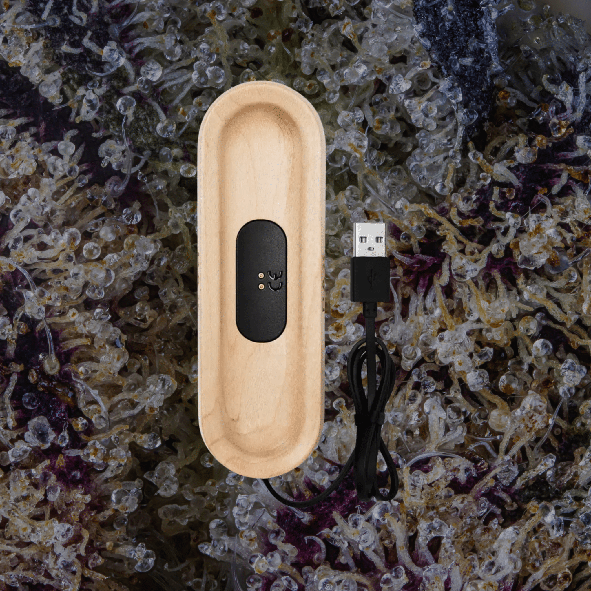 PAX Charging Tray Maple | Trichly