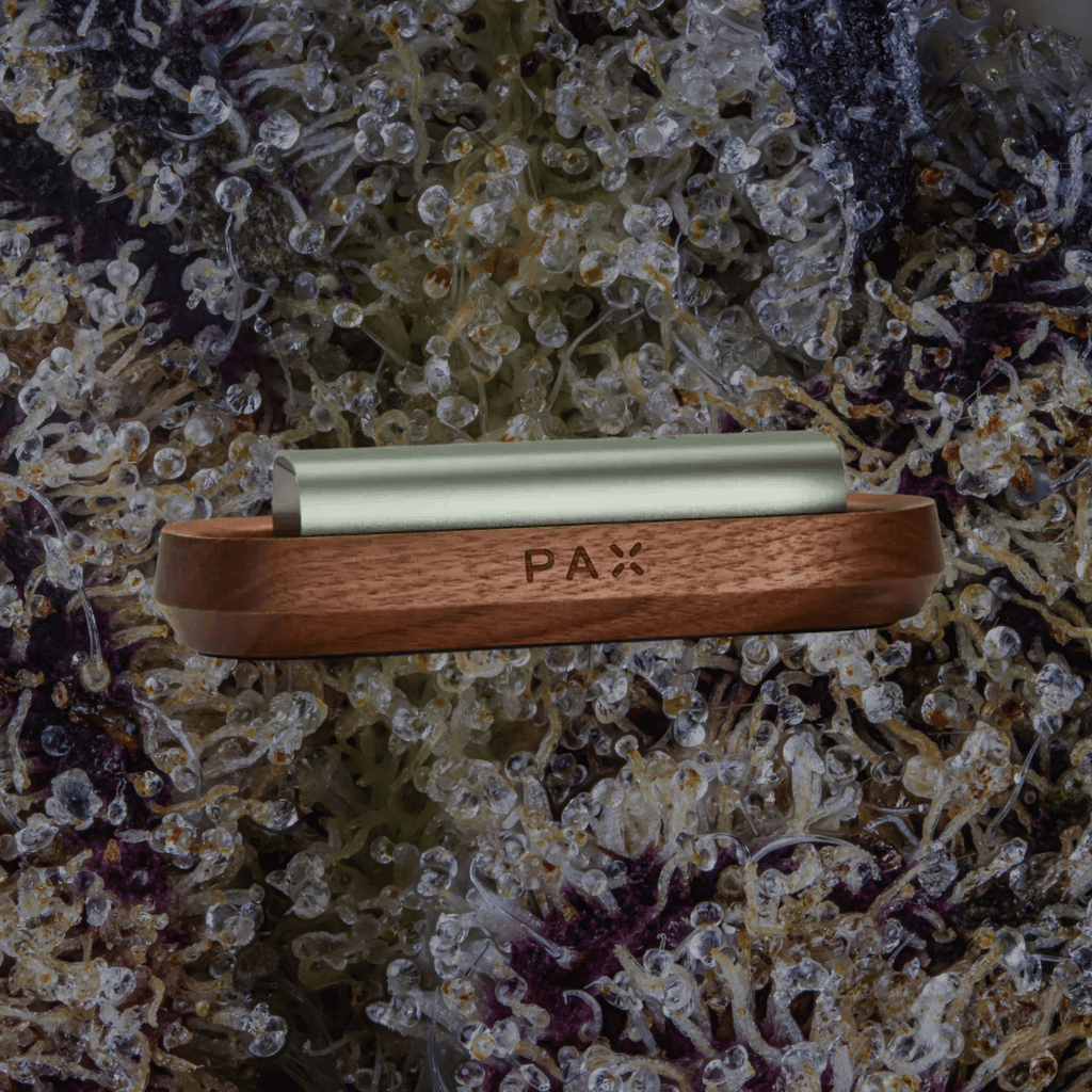 PAX Charging Tray White Oak | Trichly