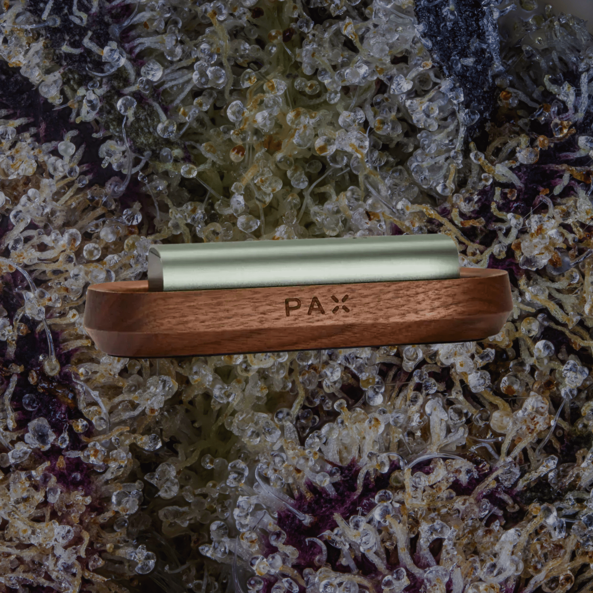 PAX Charging Tray White Oak | Trichly