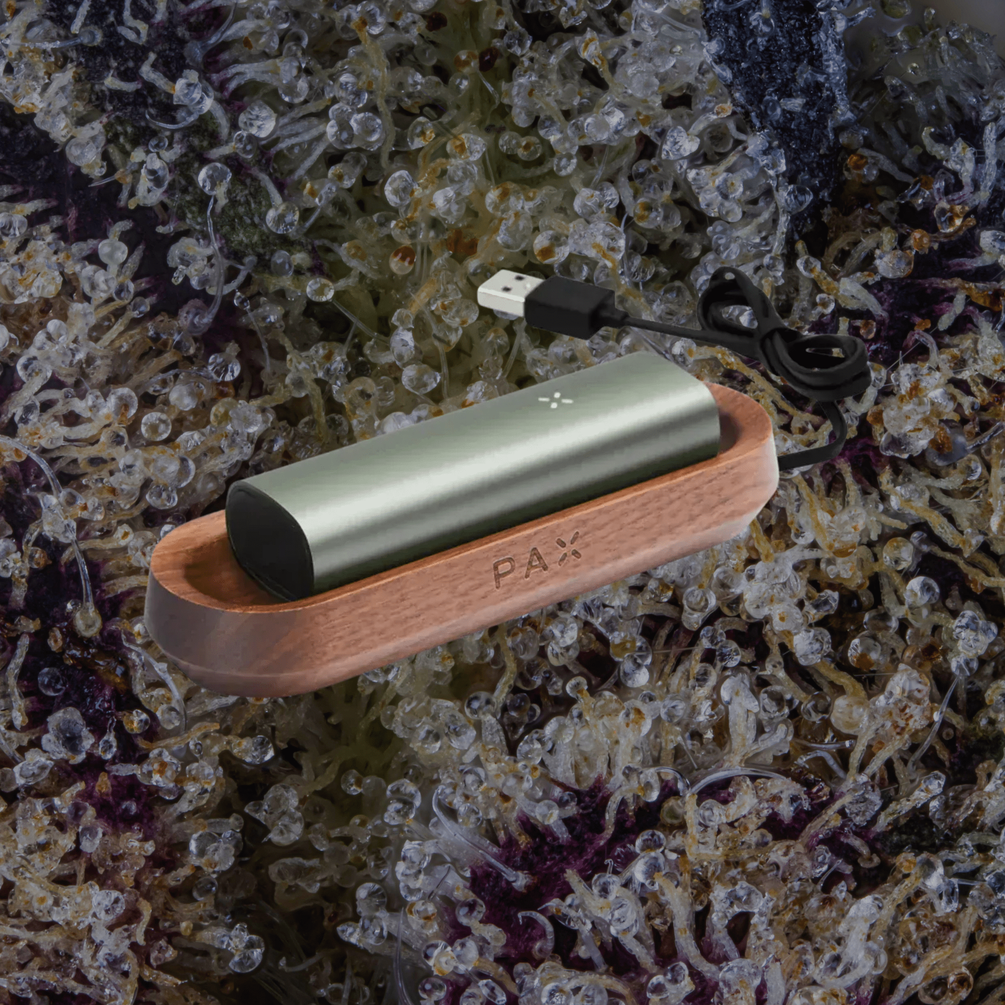 PAX Charging Tray White Oak | Trichly