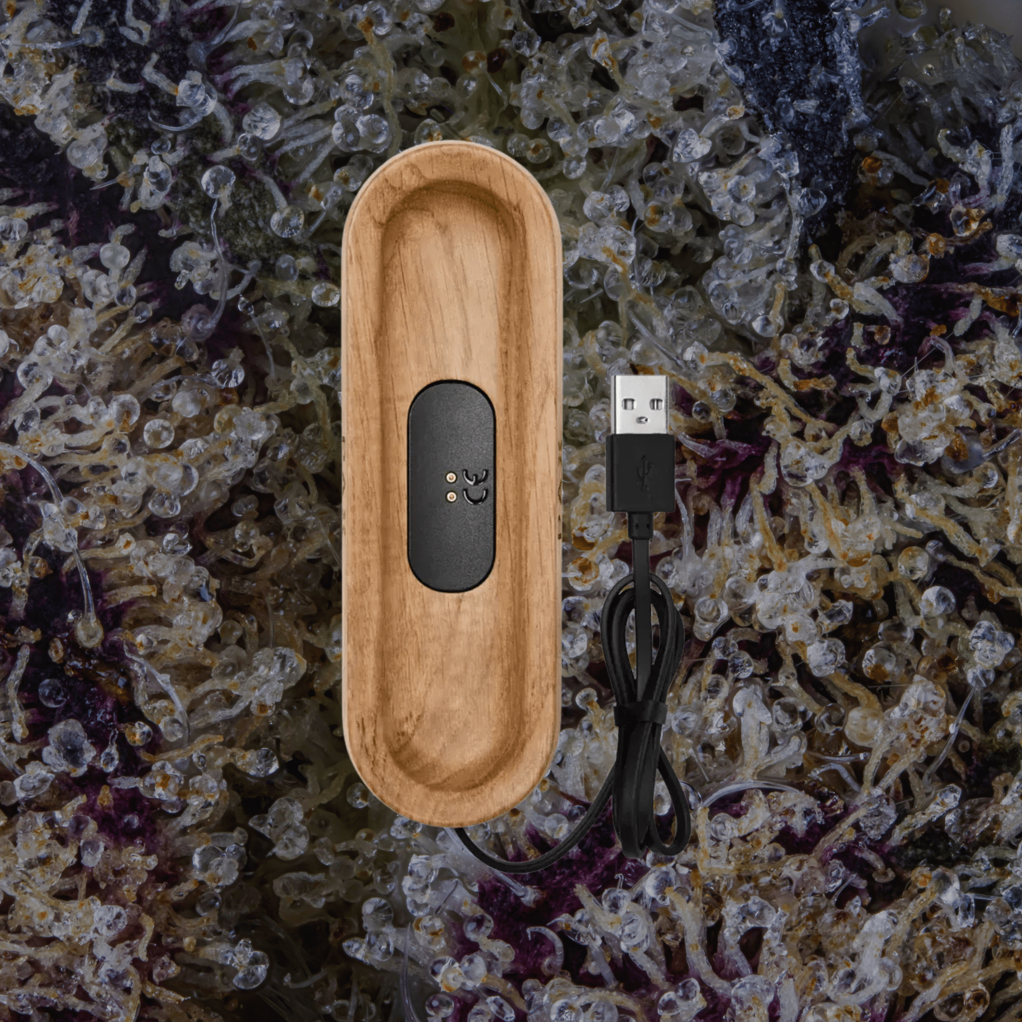 PAX Charging Tray White Oak | Trichly
