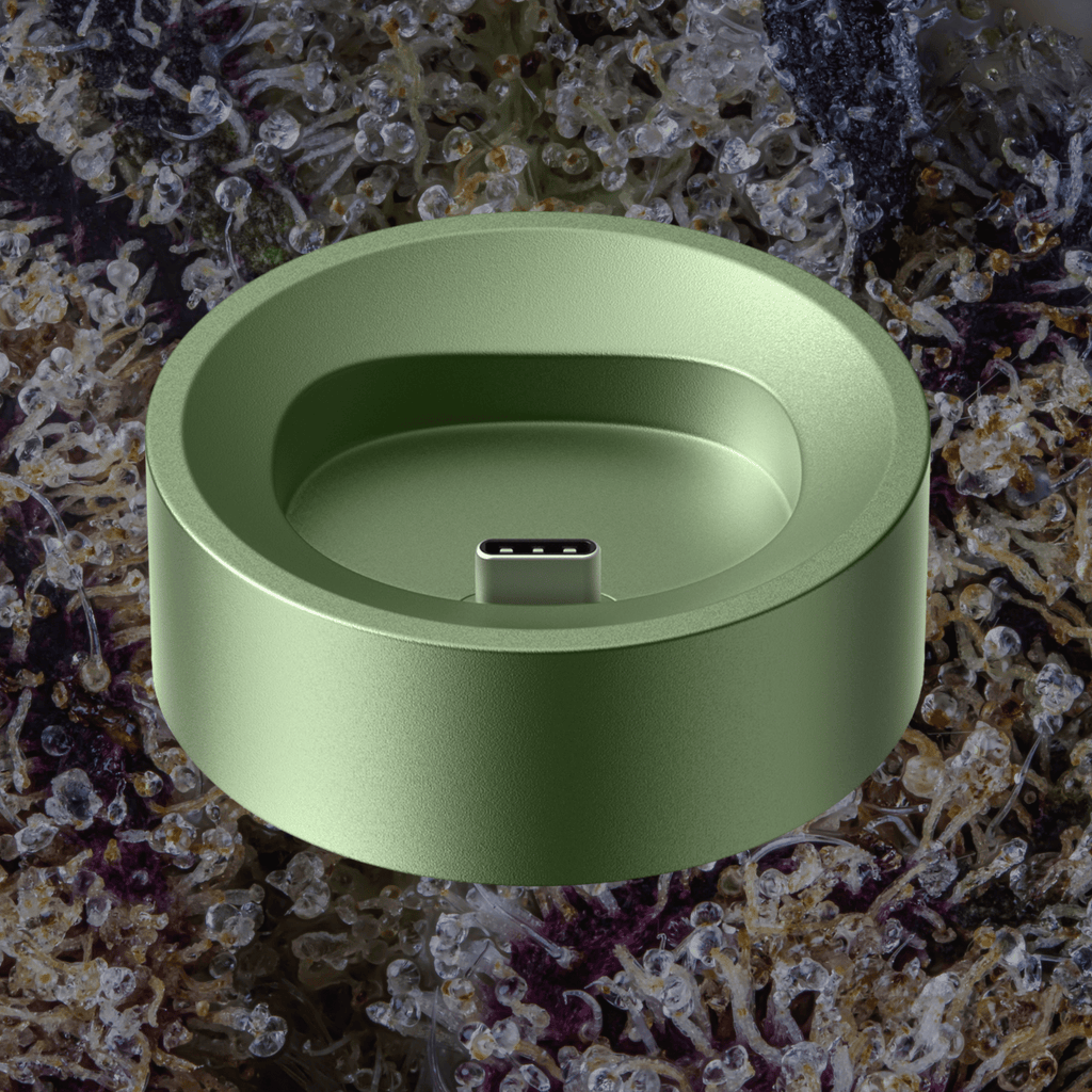 PAX Flow Charging Dock Greenstone | Trichly