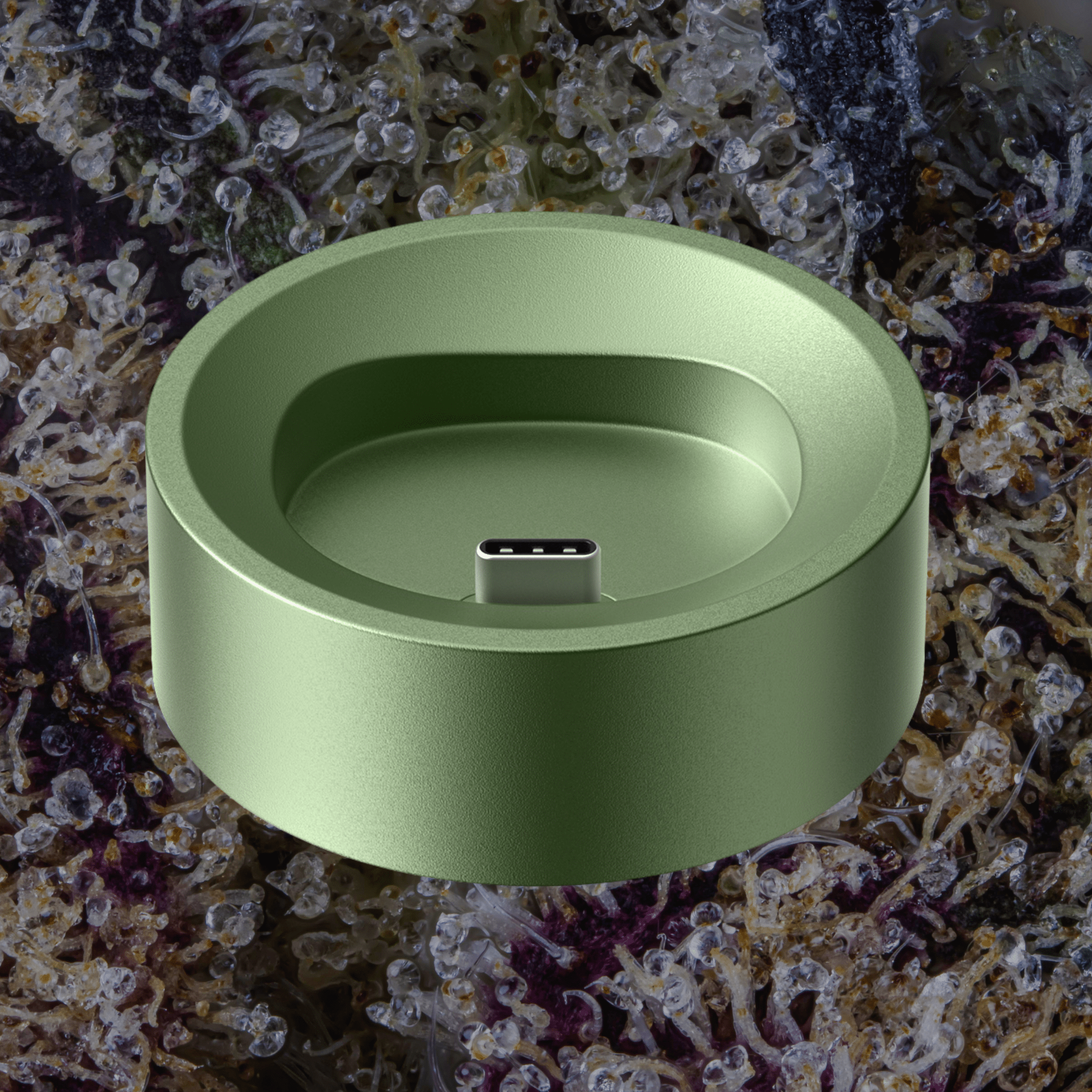 PAX Flow Charging Dock Greenstone | Trichly