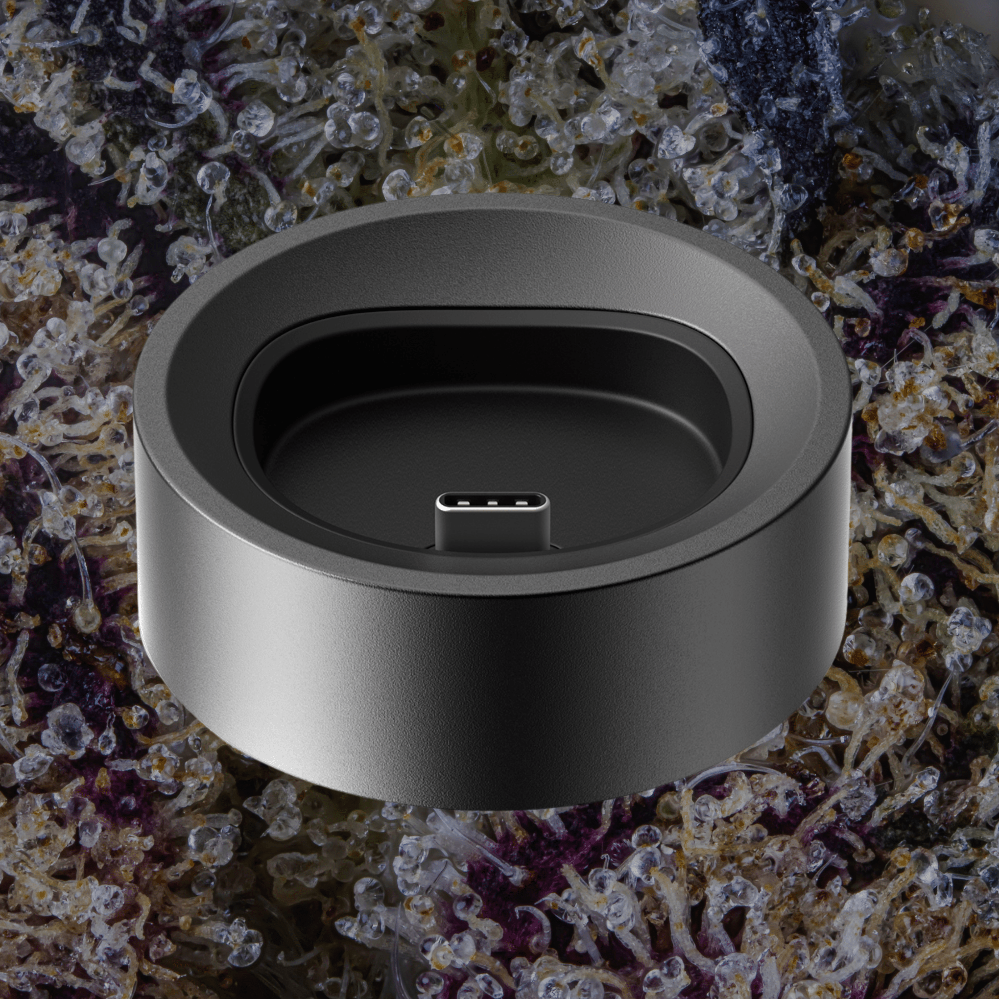 PAX Flow Charging Dock Onyx | Trichly