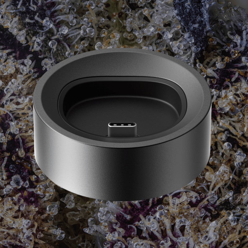 PAX Flow Charging Dock Onyx | Trichly