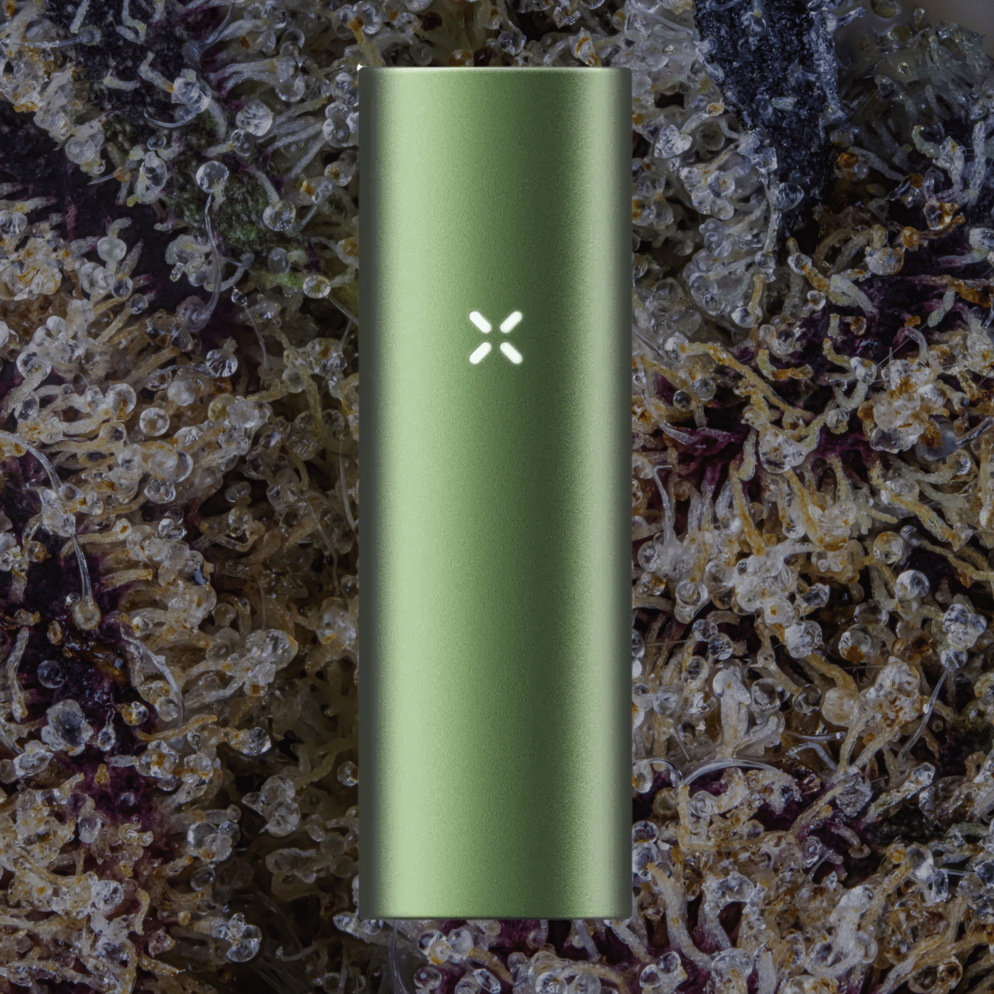 PAX Flow Greenstone | Trichly