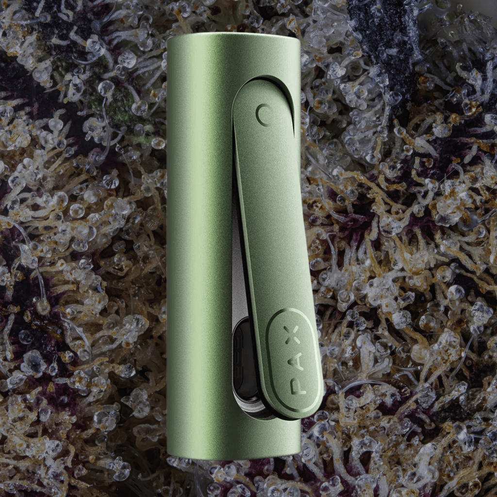 PAX Flow Greenstone | Trichly