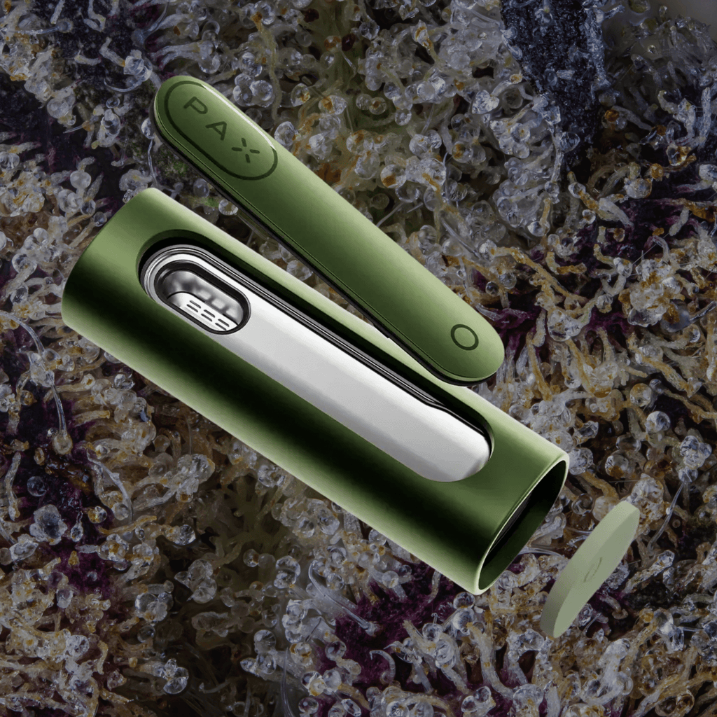 PAX Flow Greenstone | Trichly