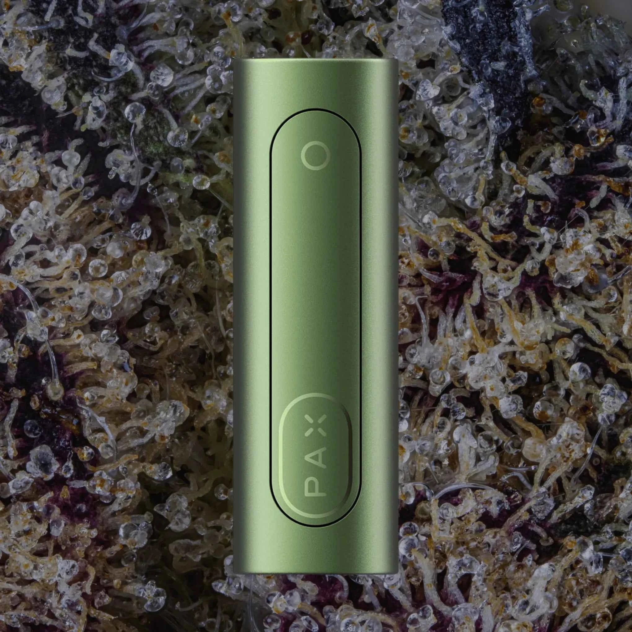 PAX Flow Greenstone | Trichly