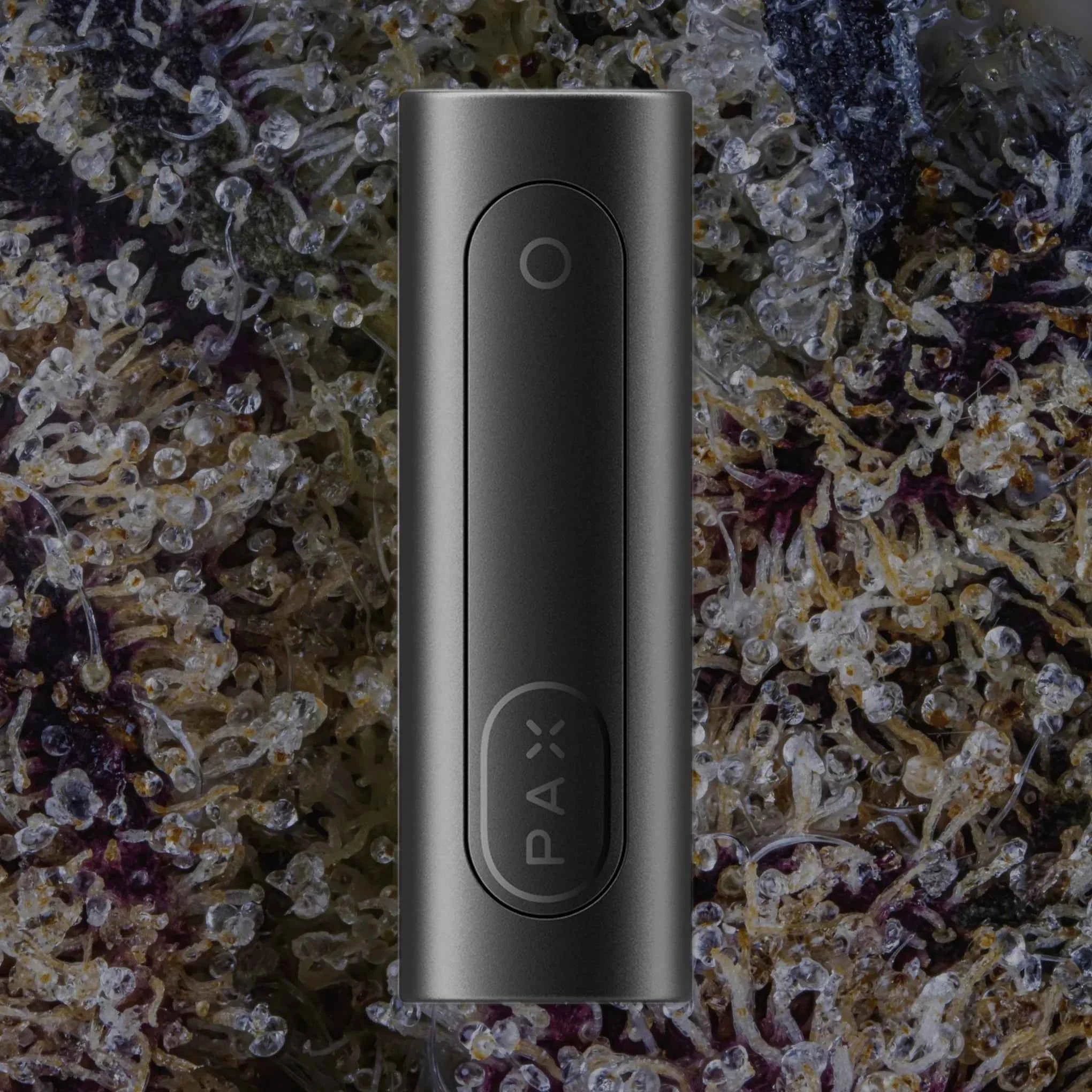 PAX Flow Onyx | Trichly