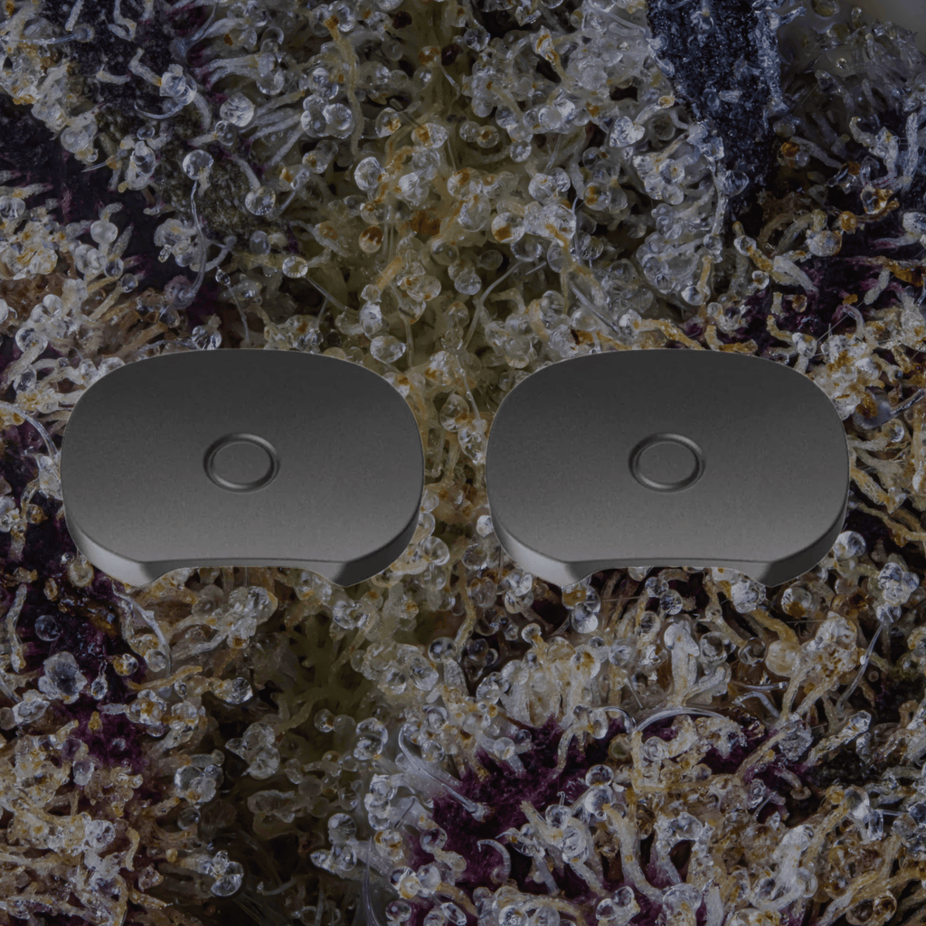 Pax Four Replacement Parts Flat Mouthpiece (2) | Trichly