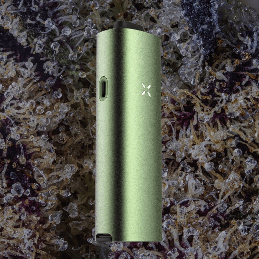 Pax Four Vaporizer Greenstone | Trichly