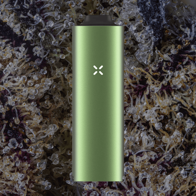 Pax Four Vaporizer Greenstone | Trichly