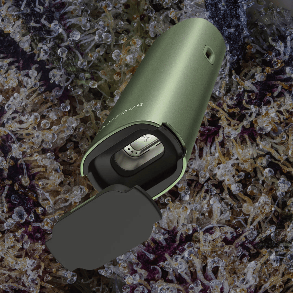 Pax Four Vaporizer Greenstone | Trichly