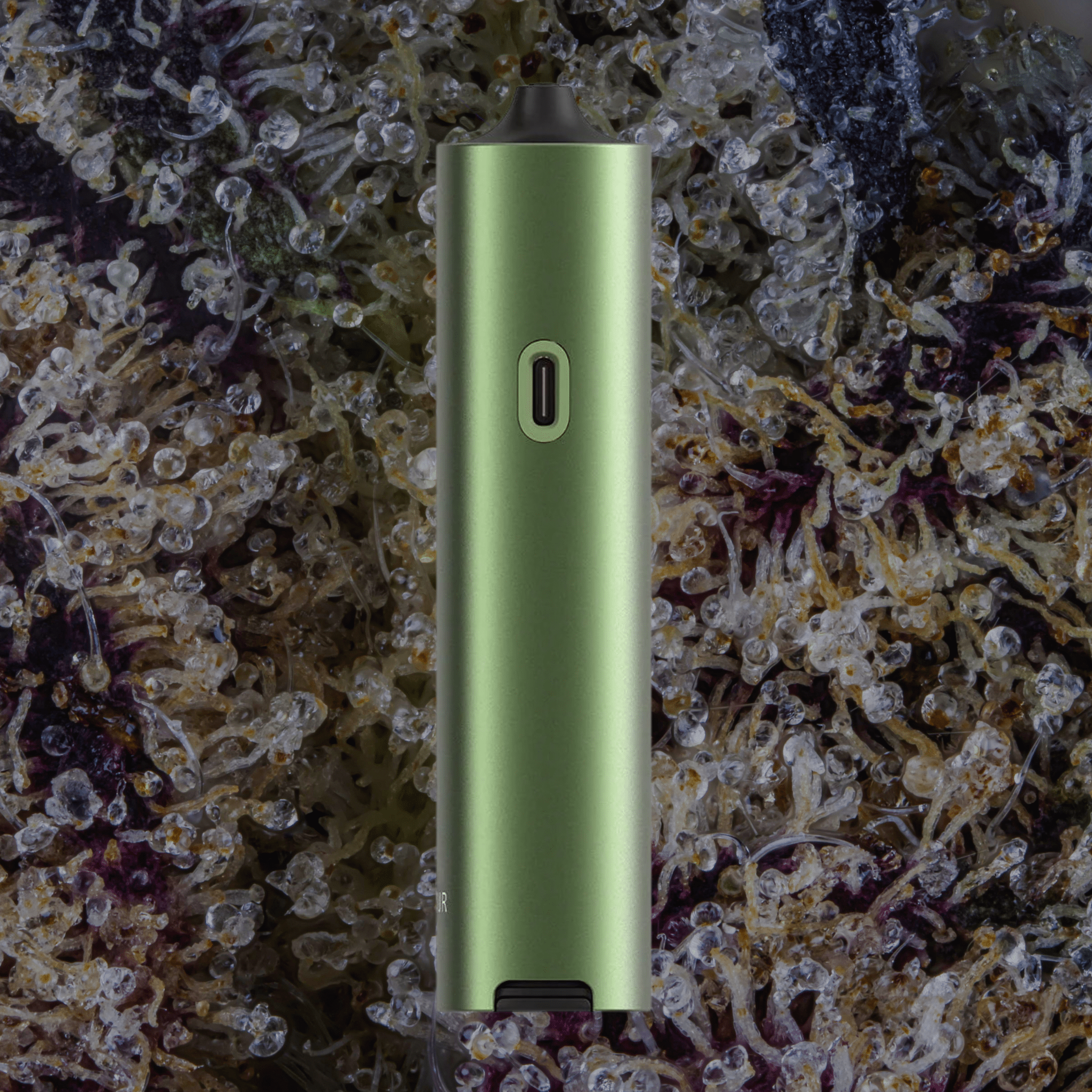 Pax Four Vaporizer Greenstone | Trichly