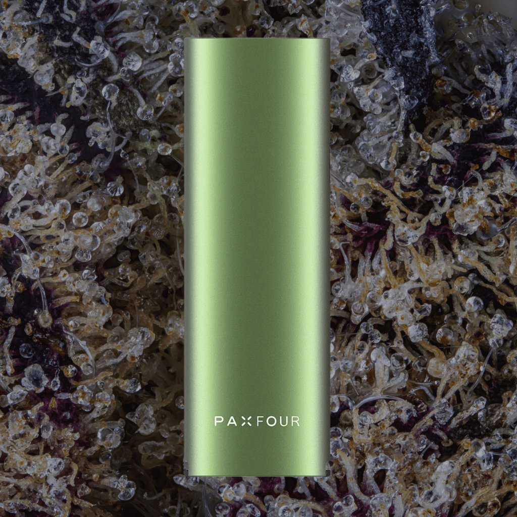 Pax Four Vaporizer Greenstone | Trichly