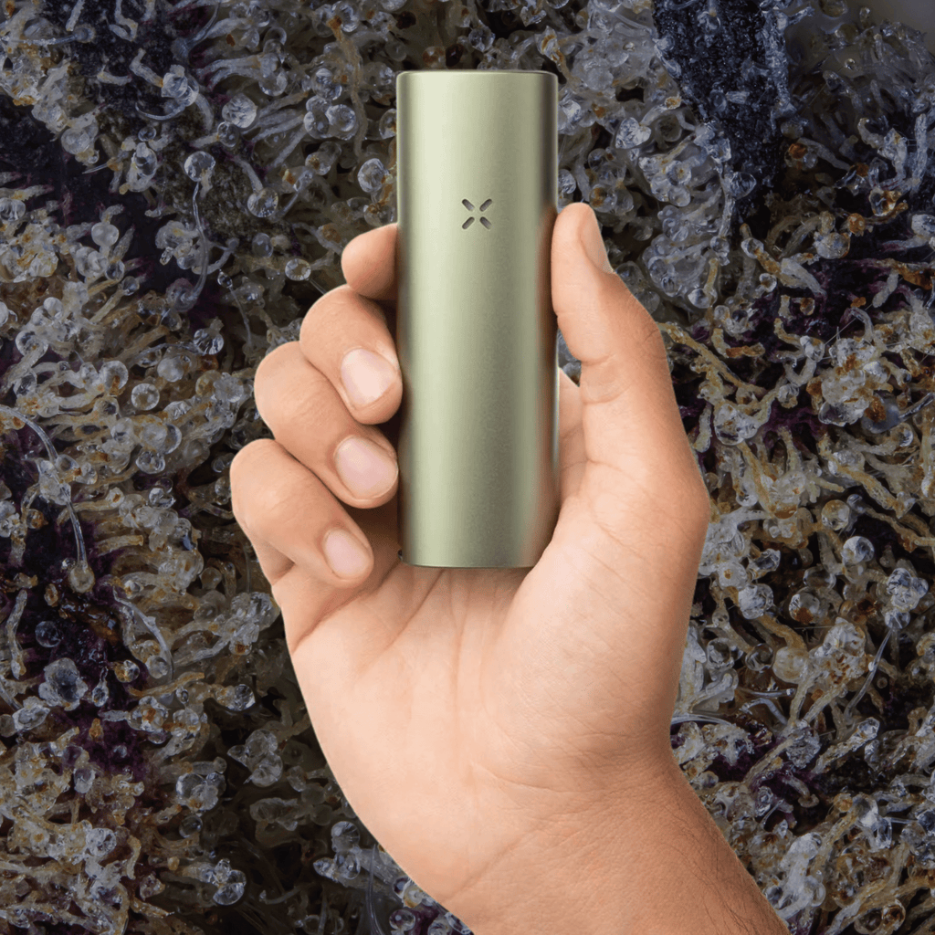 Pax Four Vaporizer Greenstone | Trichly