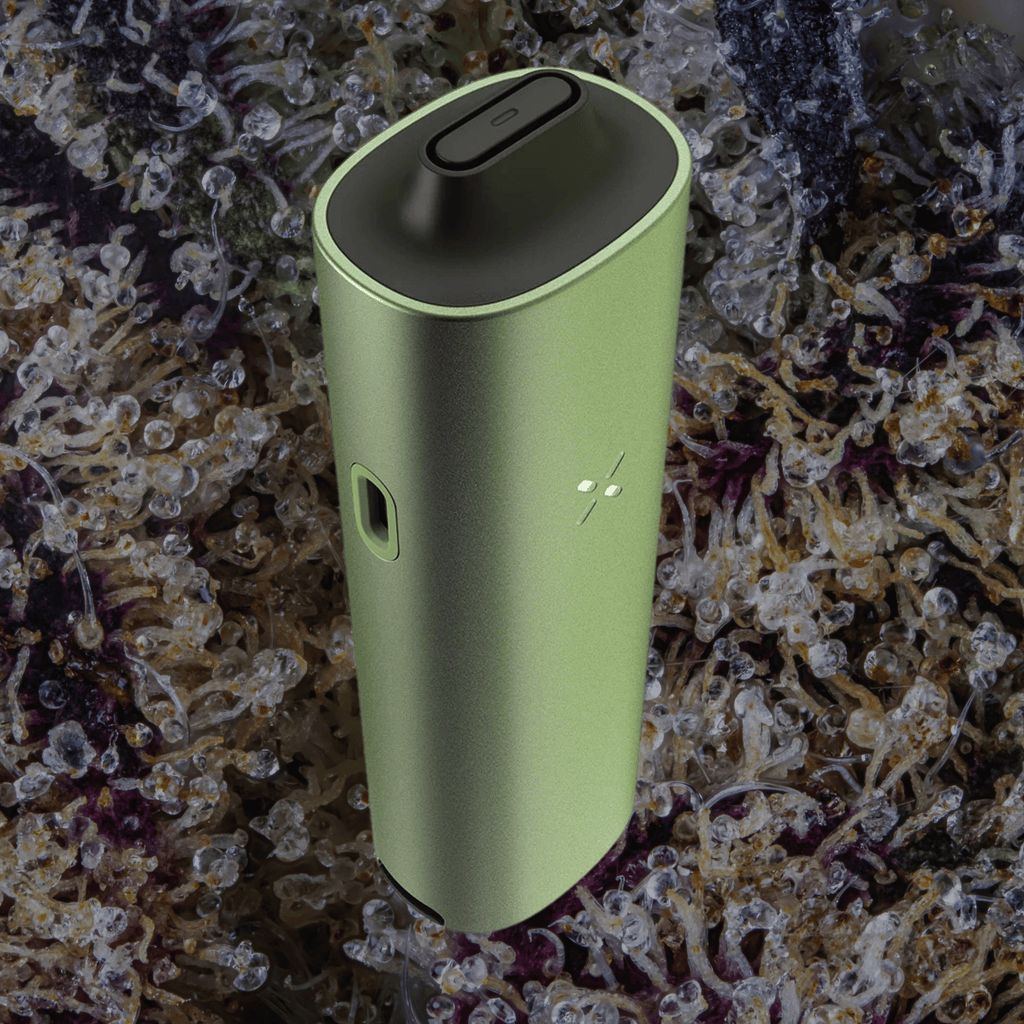 Pax Four Vaporizer Greenstone | Trichly